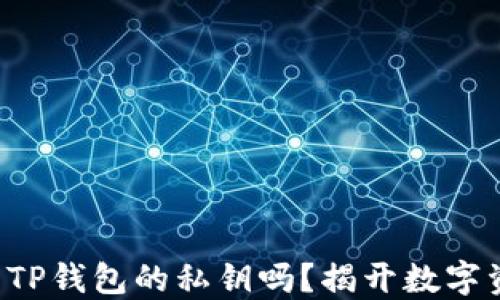 
你知道如何安全导出TP钱包的私钥吗？揭开数字资产保护的神秘面纱！