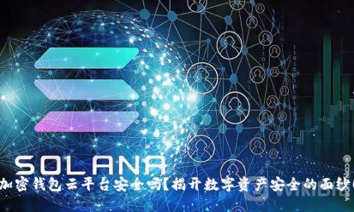 加密钱包云平台安全吗？揭开数字资产安全的面纱！