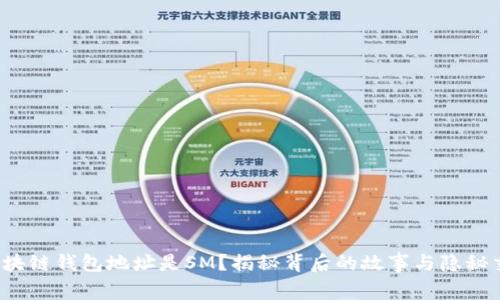 : 区块链钱包地址是SM？揭秘背后的故事与隐秘交易！