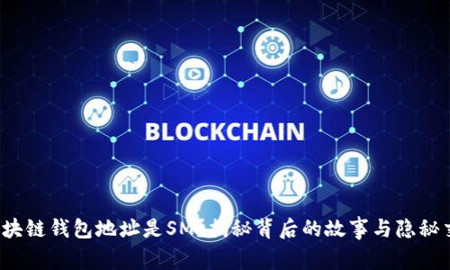 : 区块链钱包地址是SM？揭秘背后的故事与隐秘交易！
