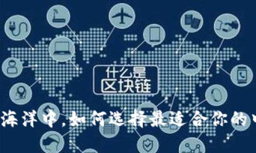 在区块链的海洋中，如何选择最适合你的中性化钱包？