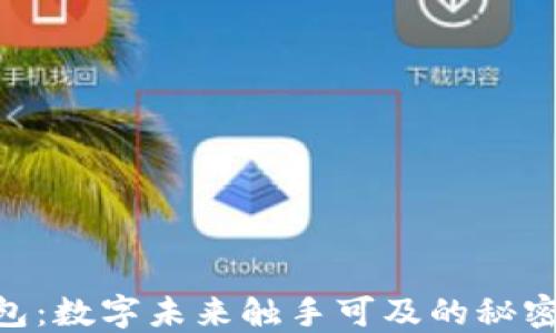 
IM钱包：数字未来触手可及的秘密之钥！