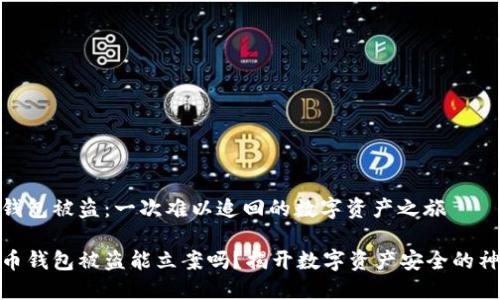 比特币钱包被盗：一次难以追回的数字资产之旅

加密货币钱包被盗能立案吗？揭开数字资产安全的神秘面纱
