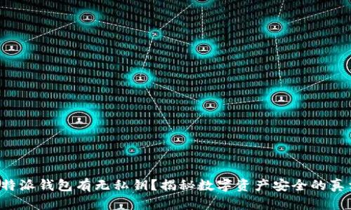 比特派钱包有无私钥?揭秘数字资产安全的真相!