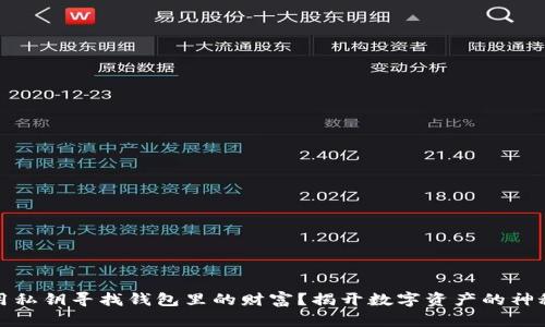 如何用私钥寻找钱包里的财富？揭开数字资产的神秘面纱