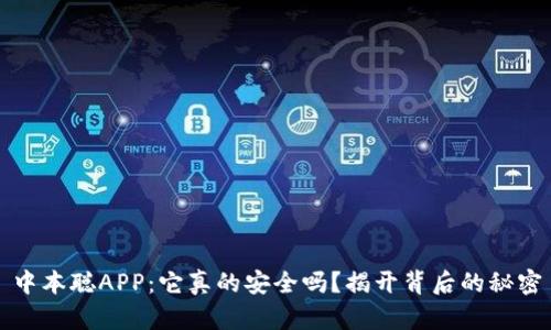 中本聪APP:它真的安全吗?揭开背后的秘密