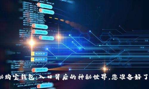 揭秘购宝钱包:入口背后的神秘世界,您准备好了吗?