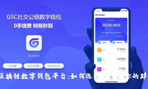 探索区块链数字钱包平台:如何选择最适合你的那一款?
