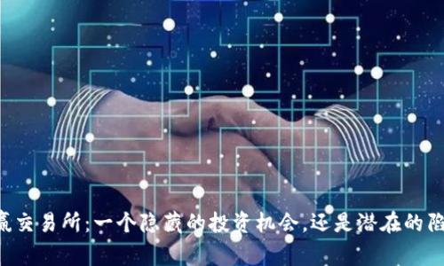 币赢交易所:一个隐藏的投资机会,还是潜在的陷阱?