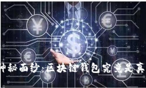 优质 

揭开神秘面纱：区块链钱包究竟是真的吗？